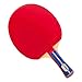 GEWO Unisex – Erwachsene Tischtennis Profis und Hobbyspieler 1.8mm ITTF Lion Belag Tischtennisschläger, Blau/Rot, One Size