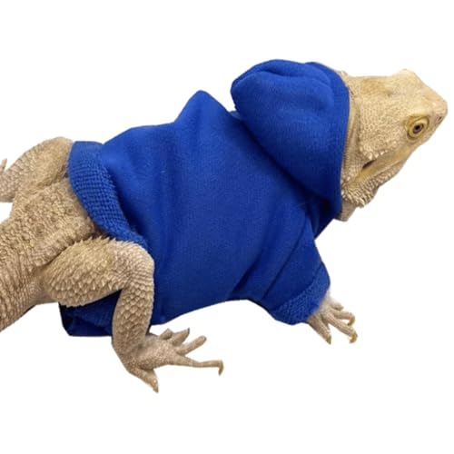 Roupas de lagarto para dragões barbudos feito à mão material de tecido com capuz suéter casaco répti
