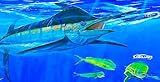 Lobo Lures Blue Marlin Chasing Lure Mahi Mahi Man Cave Garage Art Automotive Big Game Sport Fishing Tag | Made in The USA