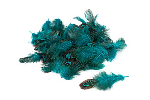 3g Fasanenfedern ca. 3-8cm (dunkel türkis 340D) // Bastelfedern Vogelfedern Schmuckfedern Natur Fasan Federn Deko ca. 130-140 Stück Cover