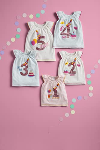 Mud Pie Toddler Girl Birthday Tunic2