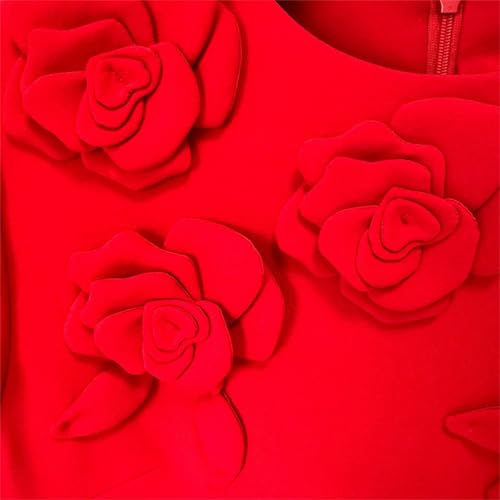 Women Fashion 2025 Designer O-Neck Short Sleeve Flowers Appliques Mini Dress Gowns4