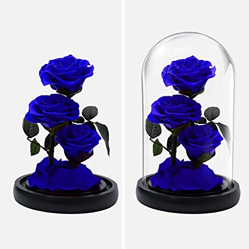 Caja regalo con rosas eternas y cubierta de vidrio miniatura 2