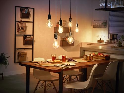 Philips Hue White, ampoule vintage filament E27 compatible Bluetooth, format Globe, fonctionne avec Alexa, Google Assistant et Apple Homekit