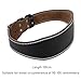 harayaa Weight Lifting Belt Adjustable Powerlifting Lumbar Back Support Sports Waistband PU Leather Double Prong Suitable for Men Women Gym Training, L