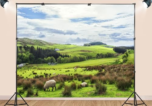 Fondo Fotográfico Tela 15x8ft Campo Irlandés Rural Naturaleza miniatura 3