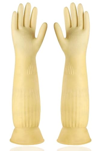 Grkoo S X[p[O(1o) Lb`O[u h O H   N[jOO[u S Lb` (L,CG[)