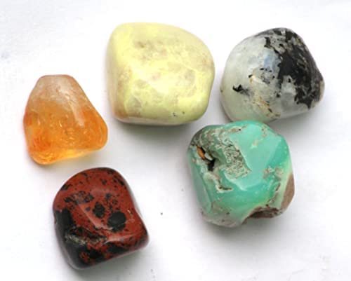 Jet InternationalJet Authentic Unique Collection of SERPENTINE + MAHOGANY + RAINBOW + CITRINE + CHRYSOPRASE Tumbled Stone for resolving Health Issues for Dis-Ease. Balancing Healing Stones (GOODLUCK)