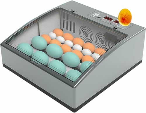 GFXYQPDNV Incubadora de Huevos 6-36 Huevos Máquina de incubación Ajustable para el hogar Control de Temperatura Volteo automático de Huevos para Huevos de Pollo Huevos de