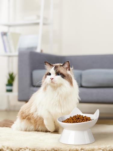 ABRUTY Tigela de orelha de gato branca de 14,6 cm (D-branco (pacote com 2))