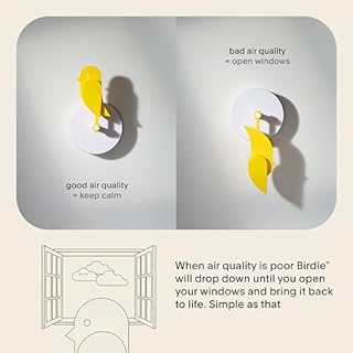 Birdie 2.0 - Design CO2-Messgerät für Innenräume – Luftqualitätsmonitor für Zuhause & Büro – Fördert Gesundheit – Modernes Wohnaccessoire – Saubere Luft reduziert Risiken (Gelb)