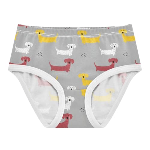Joisal Bright Toddler Girls Underwear 2t Cotton Cute Panties Girl Cute Dogs Gray Yellow White Undies Kids Briefs