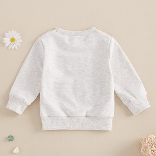 Toddler Baby Boy Girl Football Clothes Go Birds Embroidery Sweatshirt Long Sleeve Crewneck Pullover Shirt Tops4