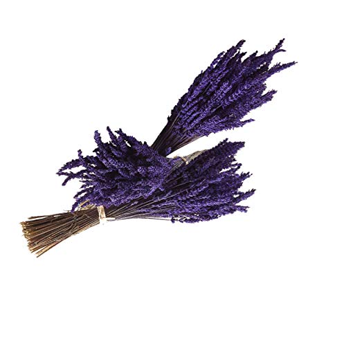 Lavanda Experience, Pack de 3 Ramos de Flores Naturales de Lavanda Preservadas de Cultivo Ecológico, de Elaboración Artesanal y Primera Calidad.