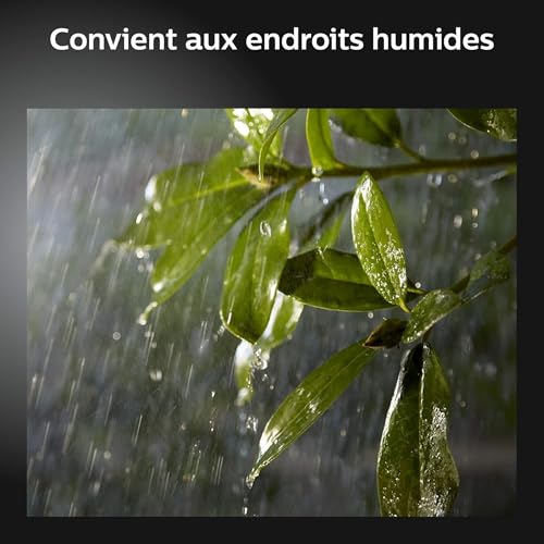 Philips Hue White & Color Ambiance Projecteur Extérieur DISCOVER, Éclairage extérieur en Aluminium Noir, Projecteur lumière compatible avec Alexa, Google Assistant et Apple Homekit