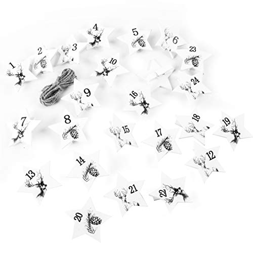 Télécharger Chiffres en bois pour calendrier de l’Avent - De 1 à 24 - Blanc et vert menthe - Avec ficelle de Francais PDF