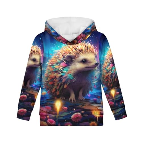 Boys Girls Hoodies Kids Cute Long Sleeve Kangaroo Pocket Youth Sweatshirt for 6-16 Years