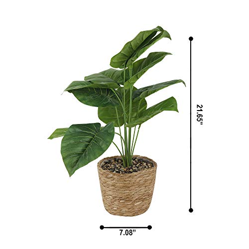21/22 Inch Artificial Elephant Ear Plant In Basket For Home Decor Indoor,Faux Green Plants With Seagrass Wicker Baskets #TOP5