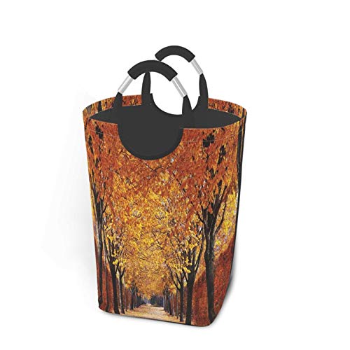 Wäschesack,Herbstweg im Wald drucken,Großer faltbarer Wäschekorb,zusammenklappbarer Wäschekorb,zusammenklappbarer Waschvorratsbehälter