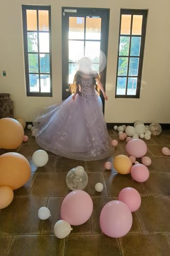 JAEDEN Prom Dress Ball Gown 2026 - Quinceanera Dresses Lace Off Shoulder Long Prom Dress3