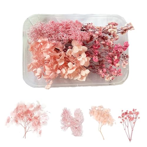 KSJEHW Flores Secas Naturales y Preservadas para Resina Epoxi, Velas, Álbumes, Recortes y Manualidades (Rosa)