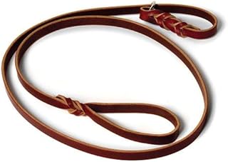 J&J Dog Supplies Leather Slip Leash-6 ft. (1/2
