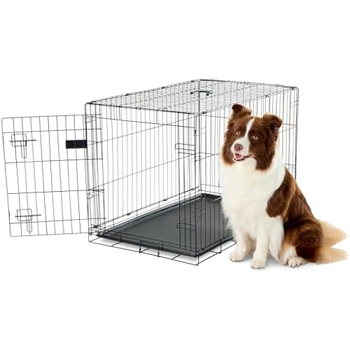 Carlson Pet Products Single Door Metal Dog Crate, Intermediate 36" Dog Crate for Medium to Large Dogs, Foldable Collapsible Dog Kennel with Removable Tray, Portable Wire Dog Cage for Training & Travel