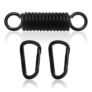 FORTSPANG Hangstoel schommelveer met twee karabijnhaken, stalen veer, 360° draaibare haak, draagvermogen tot 250 kg…