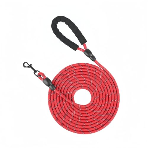 Op[h ˃Xgbvt ^E^p 5m`30m IׂA܂h~iCAKnhtySEϋv (20m,bh)