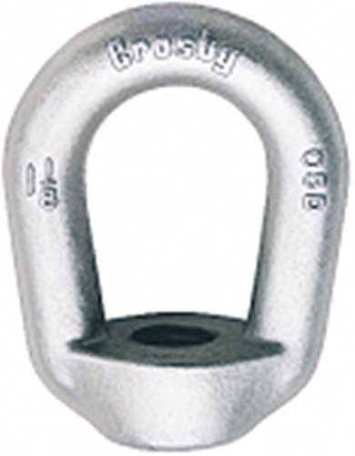 Crosby 1090571#6 Eye Nut, Forged Carbon, Galvanized, 7/8 Tap, Working Load Limit: 7200 lb, 4.32 Length x 3.50 Width