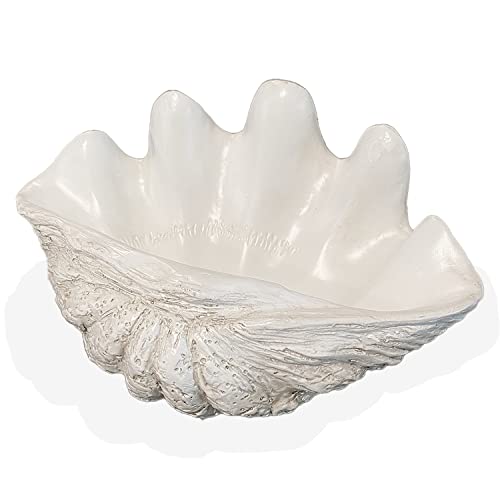 Huey House Clam Shell Sculpture - Handcrafted Small White Resin Replica - Seashell For Home Decoration - 9.06Lx 5.9Wx 4.33H #TOP5