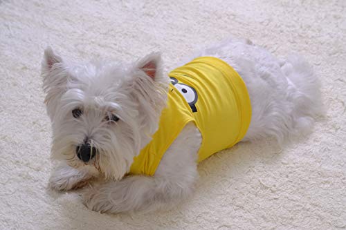 Regata Para Pet PP Amarela, Divertida Nitsa Milla para Cães