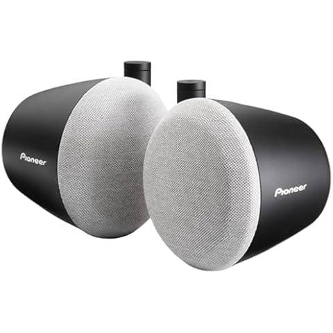 Pioneer TS-STX080 Pod Speakers for Vehicles Cover