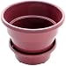 6" Self Watering + Aerating Unique Drainage Deep Reservoir Round Planter Pot Minimizes Root Rot & Soil Fungus In Herbs, Succulents, African Violets, For Indoor Outdoor Window Gardens (Plum)