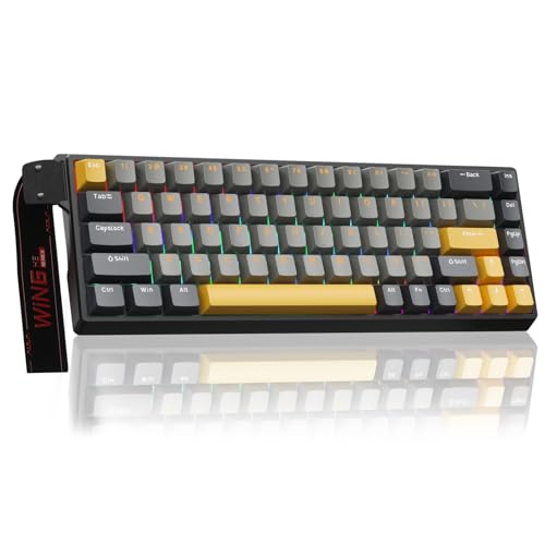 AULA Win68 He Max - Gaming Keyboard with Hall Effect and Magnetic Switch, Adjustable Acting Quick Shooting Mode, Search Rate 8Khz, Rgb Backlight Mechanical Wire 60%