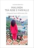 Photo Gallery majlinda tra rose e farfalle Photo Gallery majlinda tra rose e farfalle