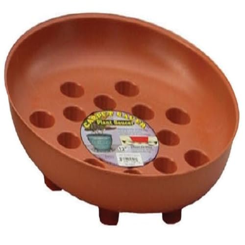 212 Main AI-DS1200T Terracotta Round 5 Carpet Saver