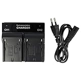 Dual-Ladestation zum Laden von bis zu 2 Akkus | Zuverlässiges Power Supply
