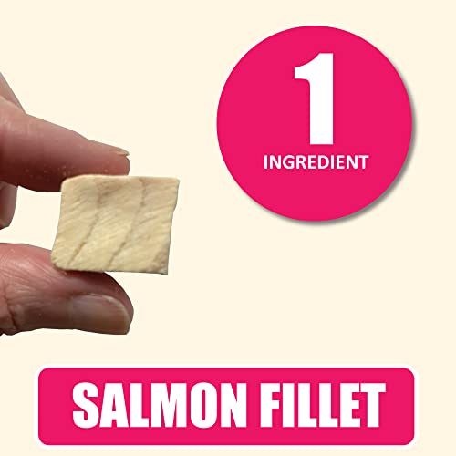 Whole Life Pet Just One Salmon - Cat Treat Or Topper - Human Grade, Freeze Dried, One Ingredient - Protein Rich, Grain Free, Made In The Usa #TOP1