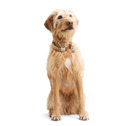 Reddy Jacquard Dog Collar, Tan, Large/X-Large