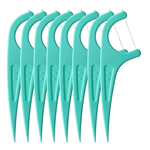 Generic Floss Picks Mint Dental Floss Picks M01 With 4 Travel Handy Cases 240 Counts iSmile