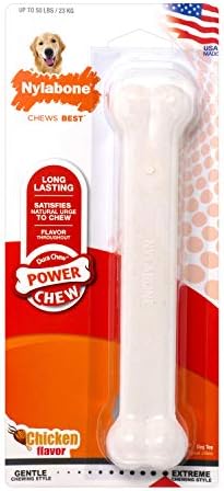 Nylabone Power Chew Flavored Durable Chew Toy for Dogs Chicken Large/Giant (1 Count)
