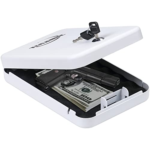 5 best small gun safe Quick Guide Pro