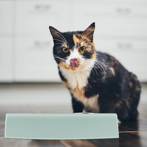 Support double gamelle bleu pour le coin repas de votre chat - 10