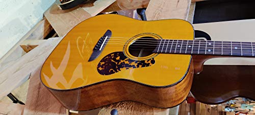 Framus Legacy FD 14 SV Dreadnought Guitare folk polie - Les Beatles, Paul McCartney, John Lennon, RIngo Starr, George Harrison Framus Legacy FD 14 SV Dreadnought Guitare folk polie – Image 3