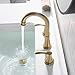 PARLOS Brushed Gold Widespread Double Handles Bathroom Faucet with Pop Up Drain and cUPC Faucet Supply Lines, Demeter 1365108