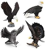 Warmtree Simulated Bald Eagle Owl Model Realistic Figures Toys Plastic Action Figure for Kids' Collection Science Educational Toy, Set of 4