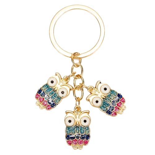 Aavedge Blue Owl Keychain, Key Chains Women Cute, Premium Enamel Cute Owl Durable Car Keychain for Women & Girls. Adorable Key Ring.