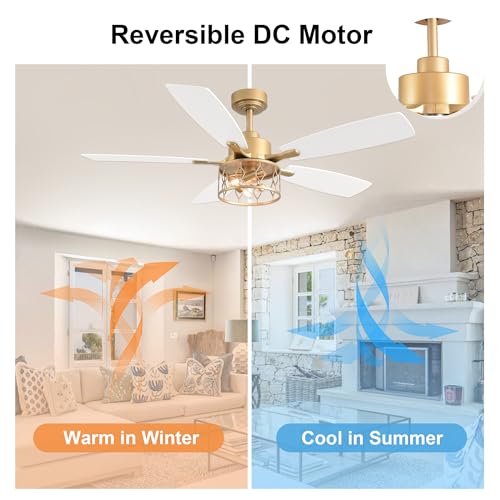 Image of 52 Inch White and Gold Ceiling Fan with Lights Modern Fandelier | Industrial Caged Fandalier, Farmhouse Rustic Chandelier Light for Living Room Bedroom, Reversible 6 Speeds, Remote Control