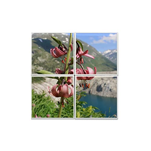 Carreaux céramique 20x20 paysage fleurs montagnes déco murale nature lot 40x40cm